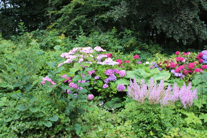 Blumenbremerhavenimrentuzun1