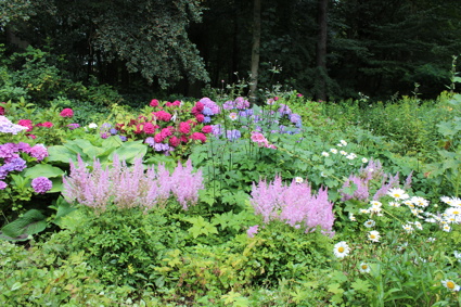 Blumenbremerhavenimrentuzun2