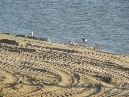 Beachofbremerhavenimrentuzun57