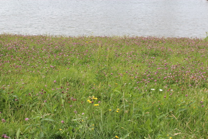 Bremerhavencityimrentuzun13