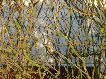 Wilkeatelieroutseideimrentuzun9