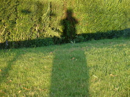 Wilkeatelieroutsideimrentuzun6