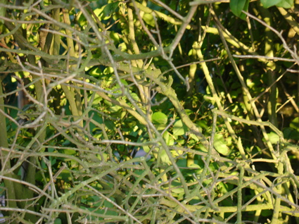 Wilkeatelieroutsideimrentuzun7