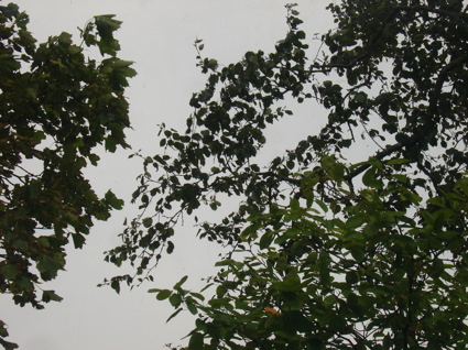 Wilkeatelierfrominsidetooutsideimrentuzun1