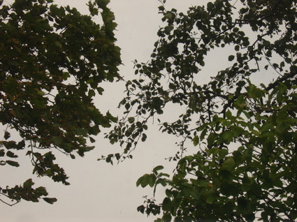 Wilkeatelierfrominsidetooutsideimrentuzun2