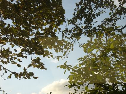 Wilkeatelierfrominsidetooutsideimrentuzun3